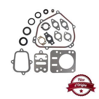 OEM Juego Juntas Briggs Et Stratton 698216 - 695155 Motor Modelo Ohv 110402 - 110412 - 110415 - 110417 - 110432