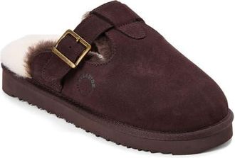 Dearfoams Fireside Maitland Genuine Shearling Scuff Slipper in Coffee at Nordstrom, Size 10