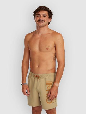 O'Neill Cali 16 Boardshorts