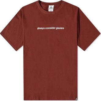 Nike x ACG NRG Glacier T-Shirt Oxen Brown DV9625-217