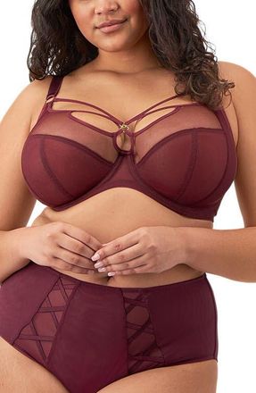 Elomi Sachi Full Figure Underwire Plunge Bra in Cabernet at Nordstrom, Size 40Hh
