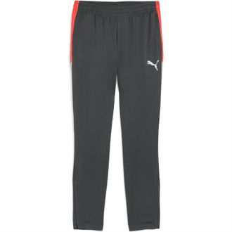 Puma Trainingsbroek voor de Individualliga voor heren (Schaduwgrijs)