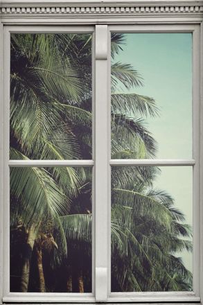 Queence Wandsticker »Palmen« Wandsticker, Wandbild, selbstklebend, 3D, Fenster