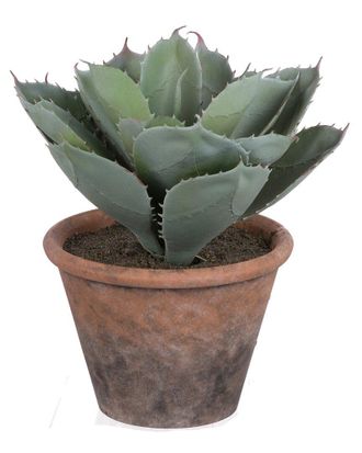 A&B Home 9.5In Potted Plush Cactus