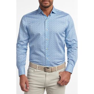 David Donahue Micropaisley Print Sport Shirt in White/Blue at Nordstrom, Size Xx-Large