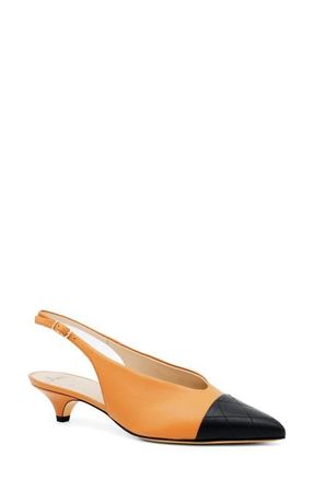 Amalfi By Rangoni Accento Slingback Pointed Cap Toe Kitten Heel Pump in Natur Cashmere/black Parmasoft at Nordstrom, Size 7.5