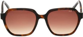 Abercrombie & Fitch 54mm Gradient Geometric Sunglasses in Dark Havana /Gradient Brown at Nordstrom