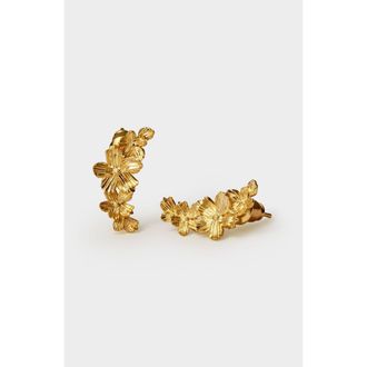 Katie Loxton Floramour Crawler Earrings in Gold at Nordstrom