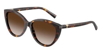 Tiffany & Co. TF4251F Asian Fit 80153B Womens Sunglasses Tortoiseshell Size 56