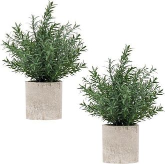 OEM Dos Peque&ntilde;os &Aacute;rboles De Eucalipto Artificiales, Adecuados Como Decoraci&oacute;n Para Estantes Interiores, Estilo 1