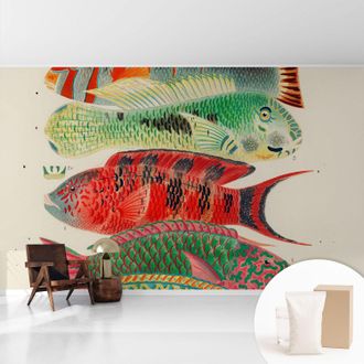 Tulup Tapete Vliestapete Mit Kleber - Wanddekoration Wohnzimmer - Tapete Schlafzimmer Exotische Fische 416x254 Cm