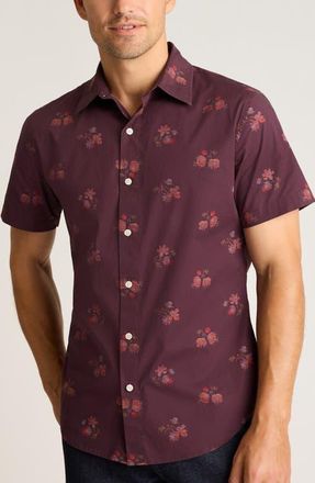 Bonobos Riviera Slim Fit Floral Short Sleeve Stretch Cotton Button-Up Shirt in Vintage Needlepoint at Nordstrom, Size X-Large