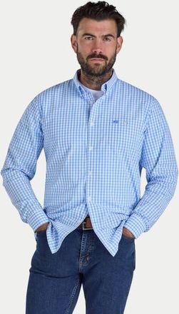 Raging Bull Classic Long Sleeve Gingham Shirt in Sky Blue at Nordstrom, Size Xxx-Large