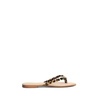 MC2 Saint Barth Flip Flops, female, Brown, Size: 10 US Thong Sandal