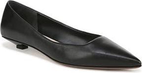 Franco Sarto Prella Pointed Toe Kitten Heel Pump in Black at Nordstrom Rack, Size 8.5