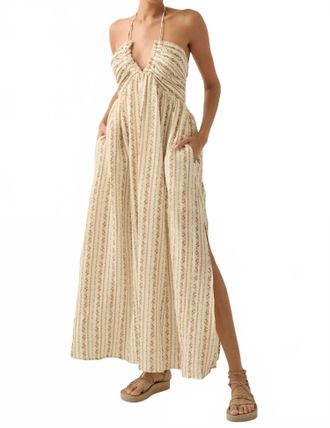 Promesa Trellis Blossoms Floral Gauze Halter Maxi Dress In Cream