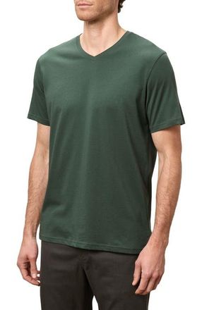 Pact Organic Softspun V-Neck Tee in Pine Green at Nordstrom, Size Xx-Large