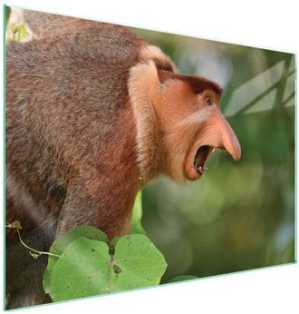 OEM Placa Protectora De Vidrio Para Estufa 70x52 Nosacz