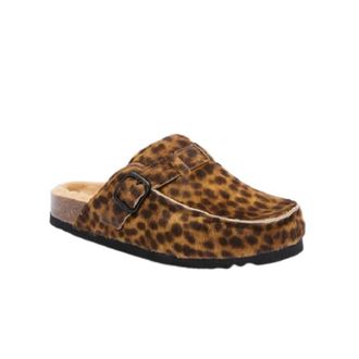 Scholl Schoenen, Dames, Bruin, 37 EU, Yena Clogs