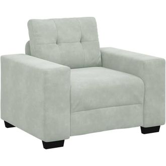 vidaXL Sill&oacute;n Sof&aacute; Gris Claro 60 Cm Terciopelo Vidaxl
