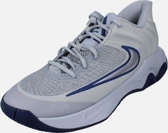 Nike Mens Nike Giannis Immortality 4 Mens Basketball Trainers FQ3680 008 - Grey - Size: 10.5