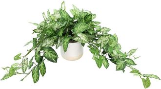 Creative Displays Inc. Handmade Faux Nephthys In Ceramic Pot
