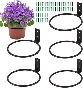 No Brand Allecto Plus - Juego De 6 Soportes De Pared Para Macetas Para Jard&iacute;n Y Balc&oacute;n - Soportes De Pared Plegables Para Macetas En Color Negro (10 Cm)
