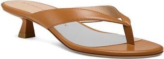 Stuart Weitzman Rio Kitten Heel Sandal in Macchiato at Nordstrom, Size 6.5