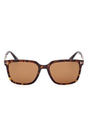 Tom Ford 56mm Square Sunglasses in Dark Havana /Brown at Nordstrom Rack