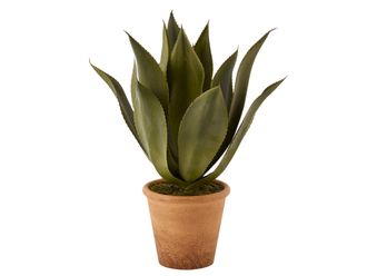 Schubiger M&ouml;bel Kunstpflanzen Agave H: 51 cm