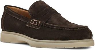 Aquatalia Timothy Penny Loafer in Dark Brown Suede at Nordstrom, Size 11.5