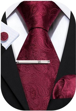 Barry.Wang Mens Ties Silk 4PC Solid Color Paisley Formal Satin Necktie Pocket Square Party Classic Wedding Anniversaries Gift Box