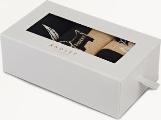 Radley London Gold Sock Set Winter Floral AW25 Radley London