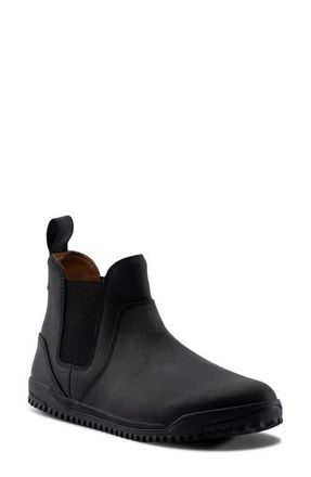 Xero Shoes Ridgeway Chelsea Boot in Black at Nordstrom, Size 11.5