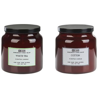 Beliani Conjunto De 2 Velas Arom&aacute;ticas 100% Cera De Soja Mecha De Algod&oacute;n Vidrio Fragancia Fresca T&eacute; Blanco/algod&oacute;n Absolute Alchemy