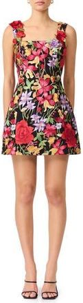Elliatt Talia Floral Embroidery Cocktail Minidress in Floral Multi at Nordstrom Rack, Size Xx-Large