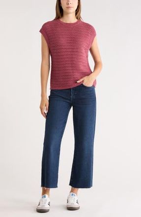 Melrose and Market Short Sleeve Pointelle Knit Sweater in Burgundy Maroon at Nordstrom Rack, Size Xx-Small