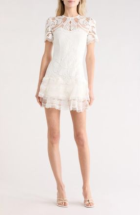 SIMKHAI Paislee Lace Dress in White at Nordstrom Rack, Size 8