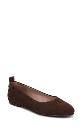 Naturalizer Ava Ballet Flat in Chocolate Suede at Nordstrom, Size 9.5