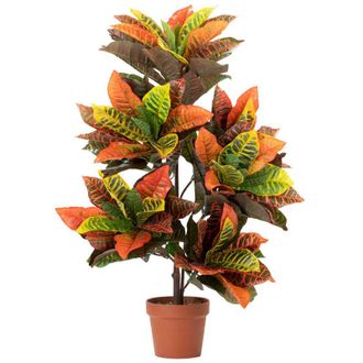 Adda Home Adda Home - Planta Codiaeum Variegatum 60x60x100 Cm