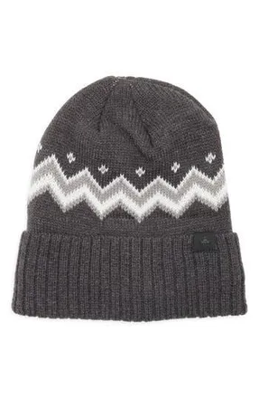 Rainforest Chevron Stripe Cuff Knit Beanie in Dark Charcoal Heather at Nordstrom Rack