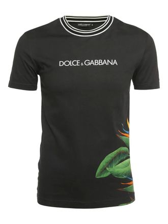 Dolce & Gabbana Bird of Paradise-print T-shirt - Black