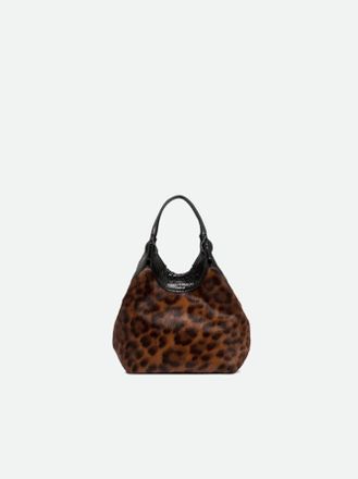 Gianni Chiarini DUA