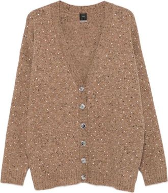 Pinko Pinko, Dames, Truien, Bruin, Maat: XS Wol