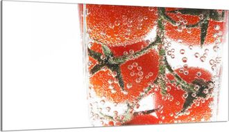 OEM Placa Protectora De Vidrio Para Estufa 90x52 Tomate