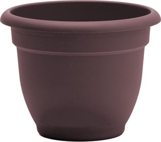 Bloem Ariana 13 Inch x 7 Inch Gardening Pot, Merlot in Brown at Nordstrom