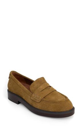 Aerosoles Poeta Penny Loafer in Tobacco at Nordstrom, Size 7.5