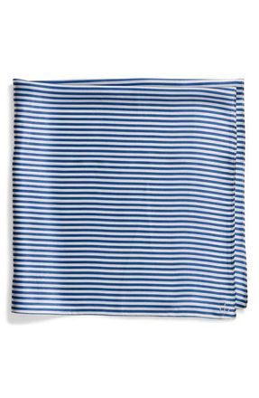 Rag & Bone Gail Stripe Silk Scarf in Blue/White at Nordstrom