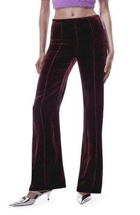 Mango Seamed Flare Velvet Pants in Maroon at Nordstrom, Size 4
