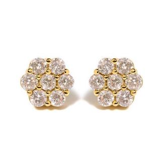 House of Brilliance 14K White Gold 3.0 Cttw Diamond Floral Cluster Stud Earring in Yellow at Nordstrom